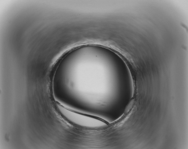 X0000095931502200801181428