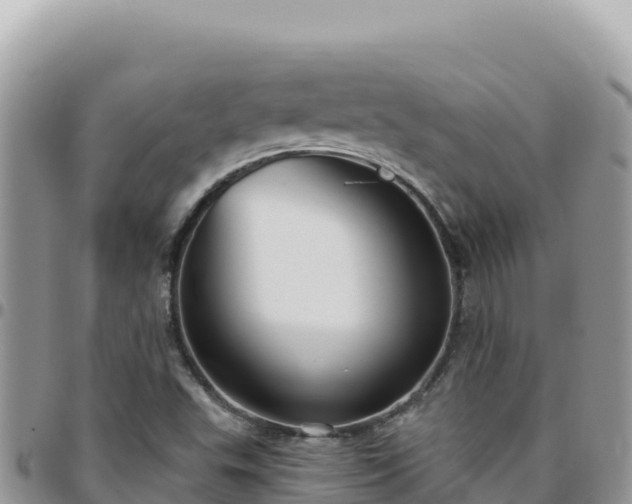 X0000095931503200801181428