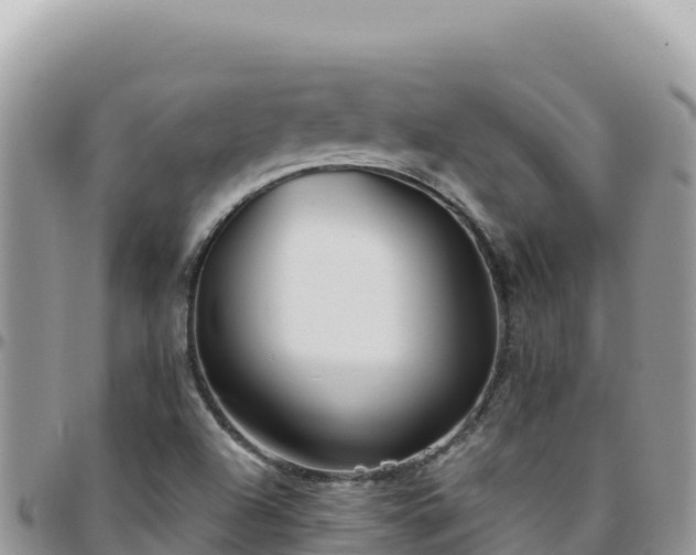 X0000095931504200801181428