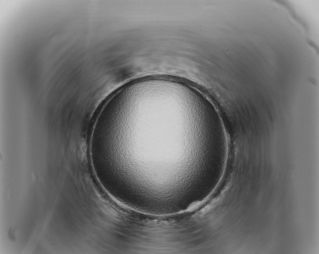 X0000095931505200801181428