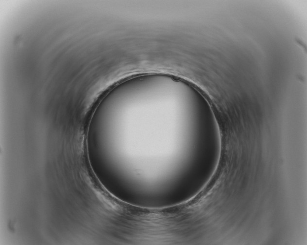 X0000095931507200801181428