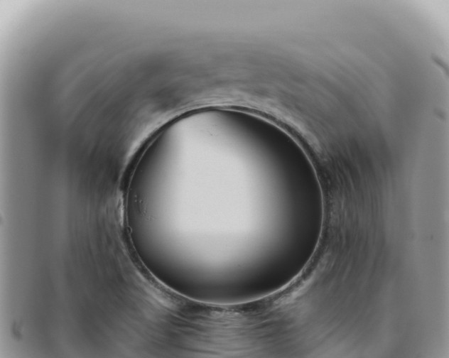 X0000095931509200801181428