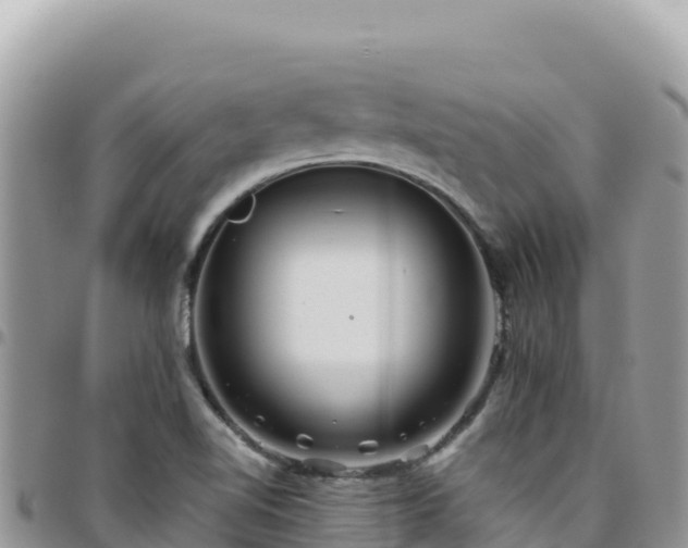 X0000095931510200801181428