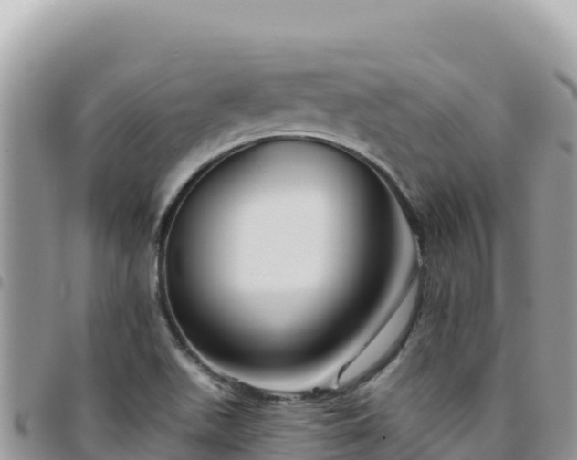 X0000095931511200801181428