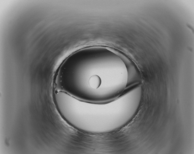 X0000095931512200801181428