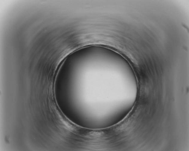 X0000095931513200801181428