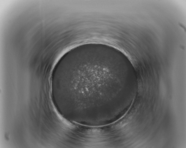 X0000095931515200801181428