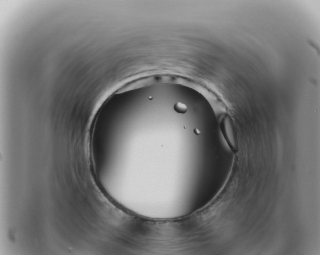 X0000095931516200801181428