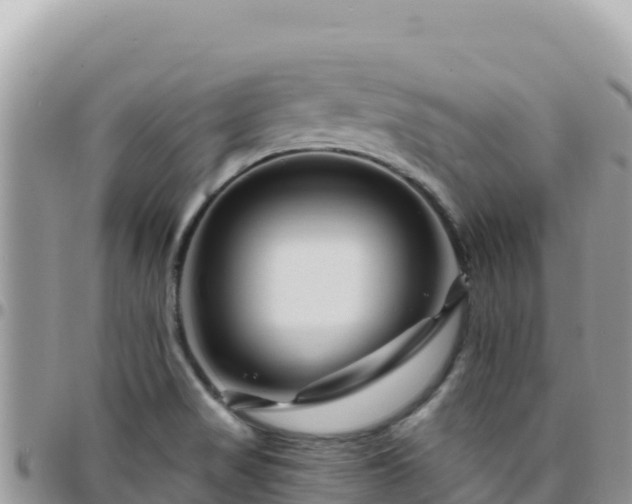 X0000095931517200801181428