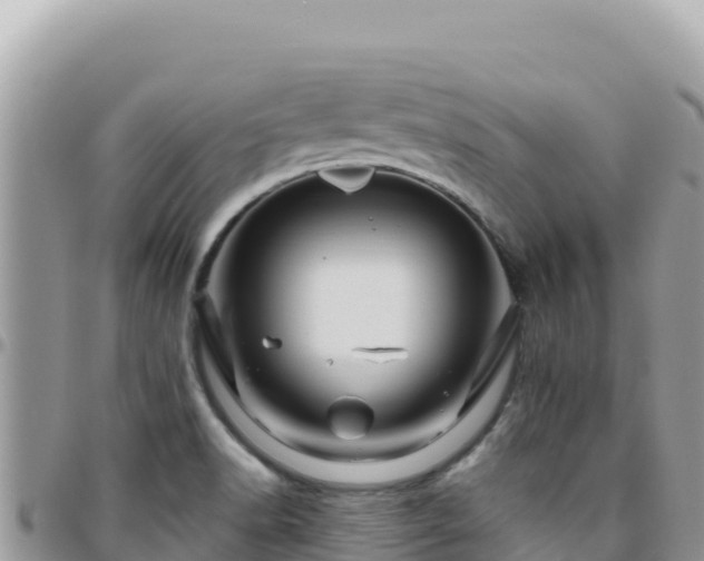 X0000095931518200801181428