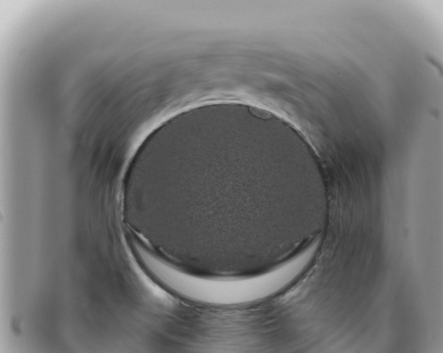 X0000095931519200801181428