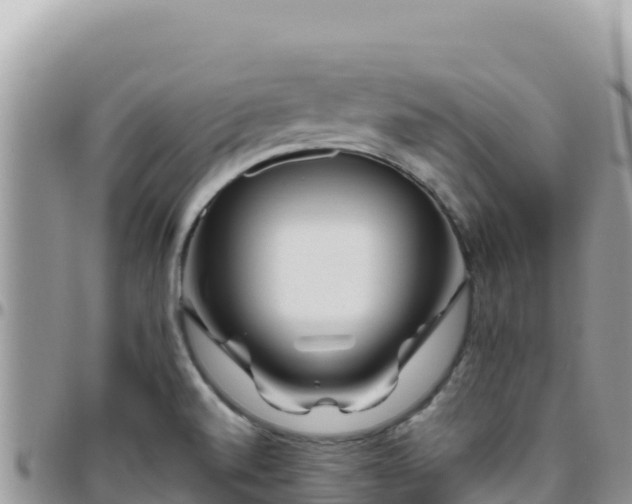 X0000095931520200801181428