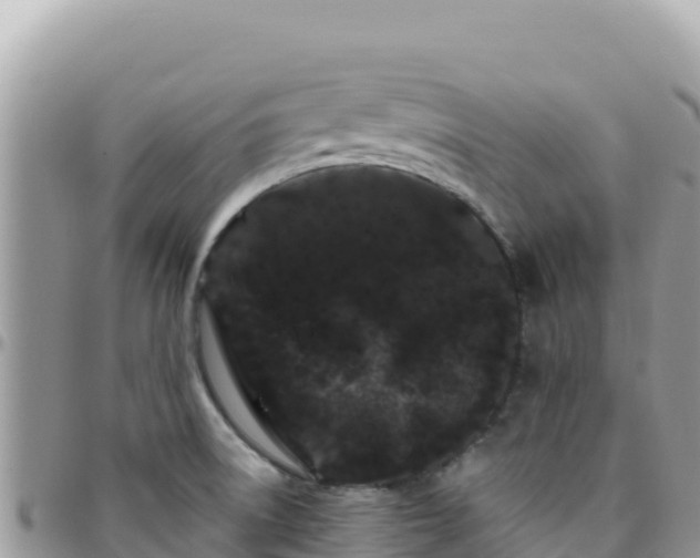 X0000095931522200801181428