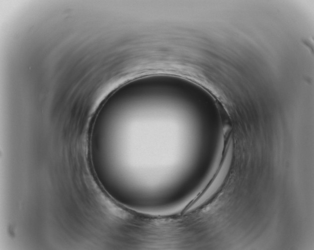 X0000095931523200801181428