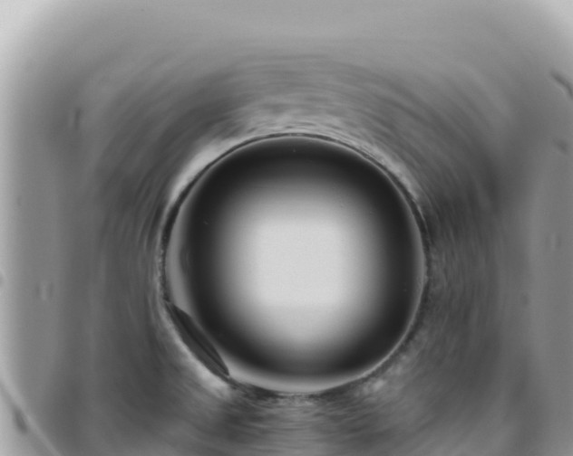 X0000095931525200801181429
