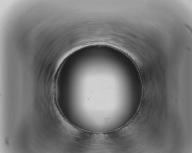 X0000095931526200801181429