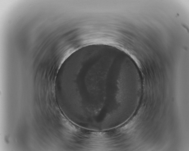 X0000095931529200801181429
