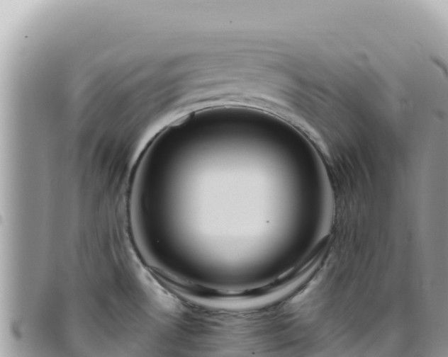 X0000095931530200801181429