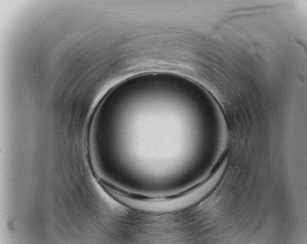 X0000095931531200801181429