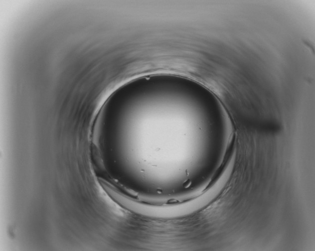 X0000095931532200801181429