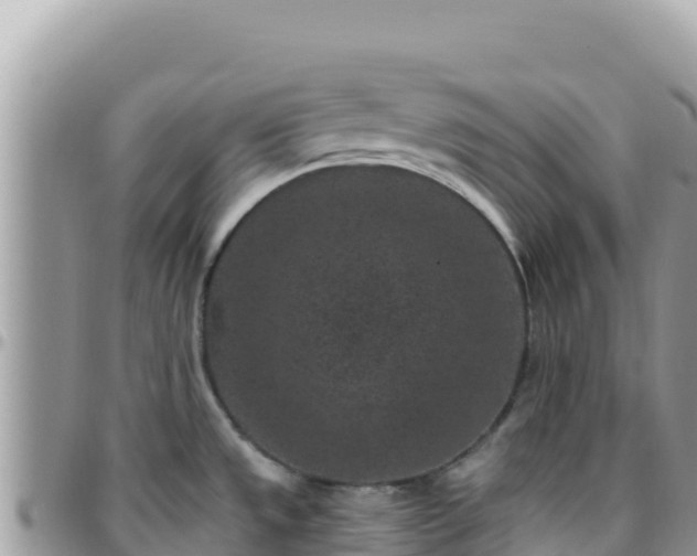 X0000095931533200801181429