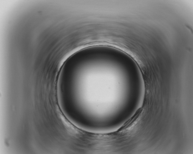 X0000095931534200801181429