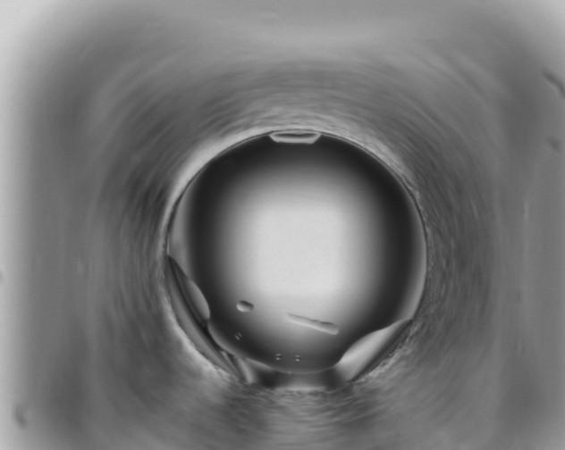 X0000095931536200801181429