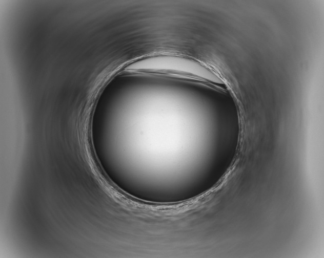 X0000095930001200801251059