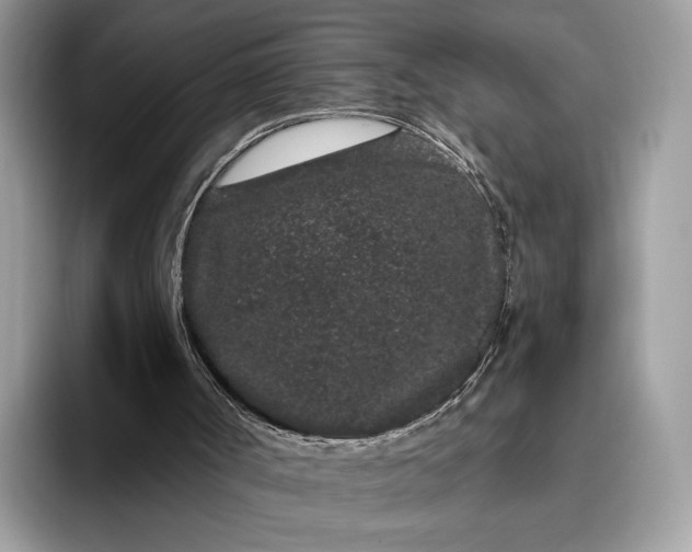 X0000095930002200801251059