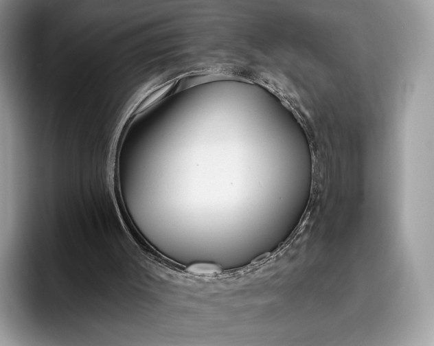 X0000095930003200801251059