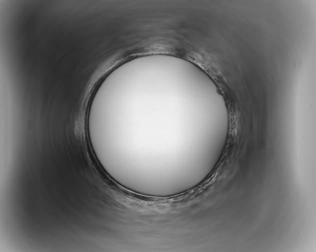 X0000095930004200801251059
