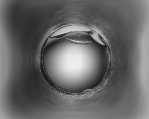 X0000095930007200801251059