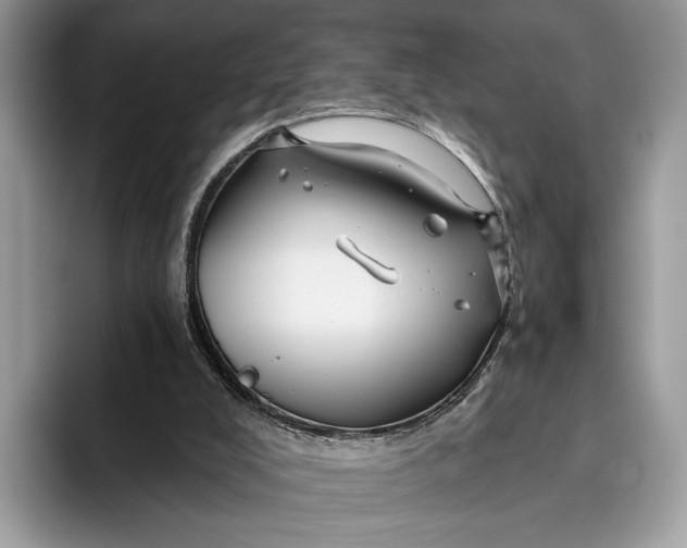 X0000095930008200801251059
