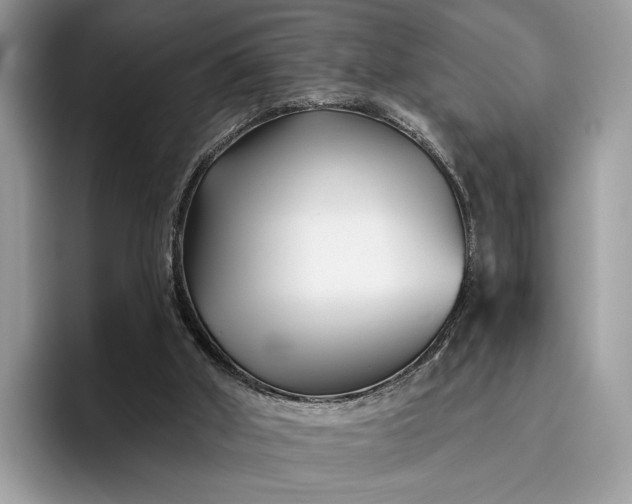 X0000095930010200801251059