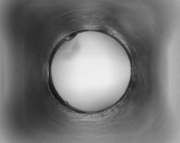 X0000095930011200801251059