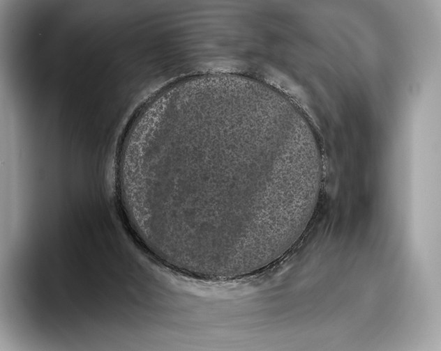 X0000095930012200801251059