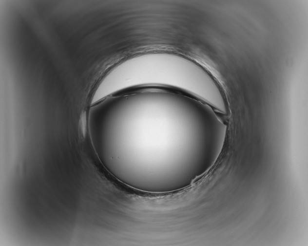 X0000095930013200801251059