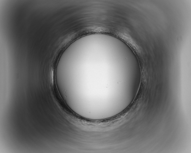 X0000095930014200801251059