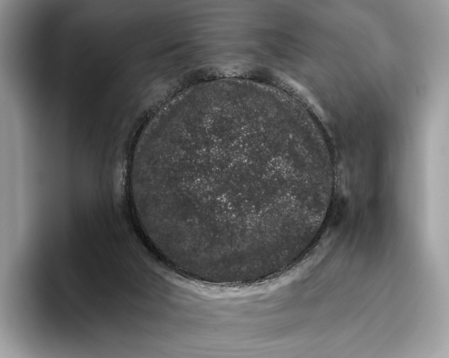 X0000095930018200801251059