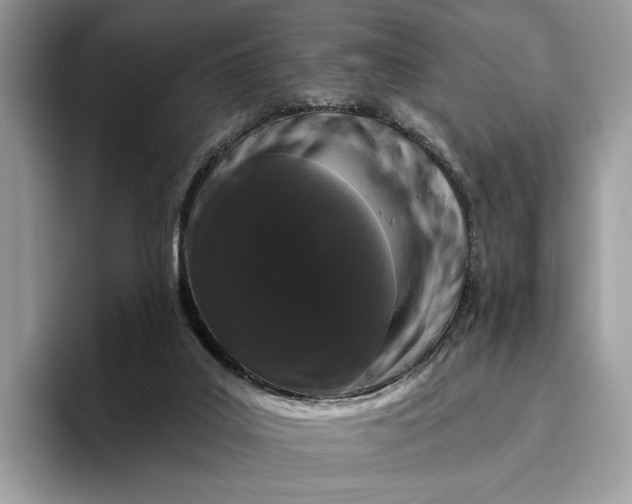 X0000095930019200801251059