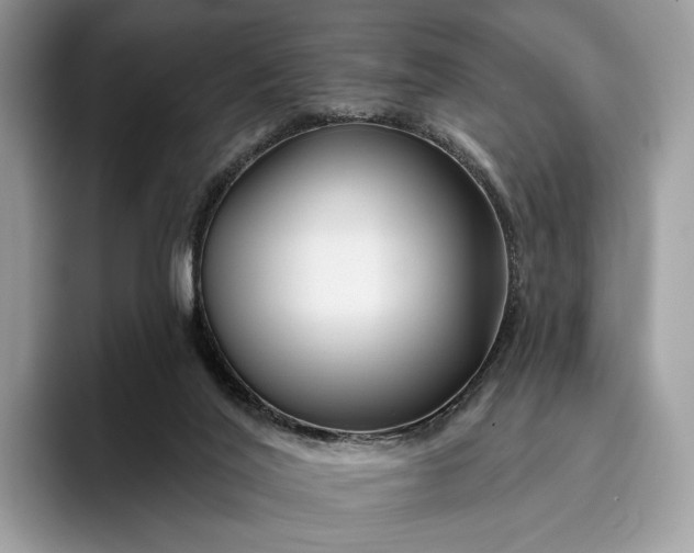 X0000095930020200801251059