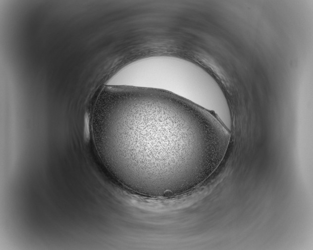 X0000095930022200801251059