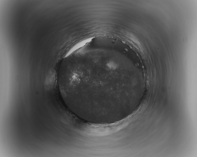 X0000095930029200801251059