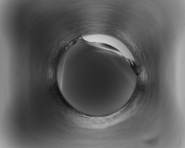 X0000095930031200801251059