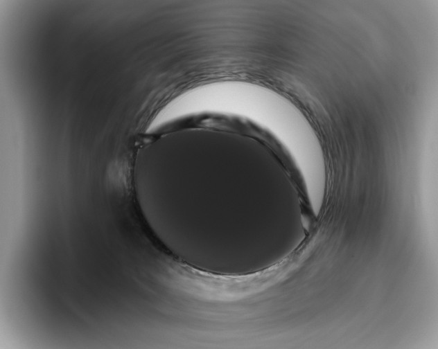 X0000095930035200801251059