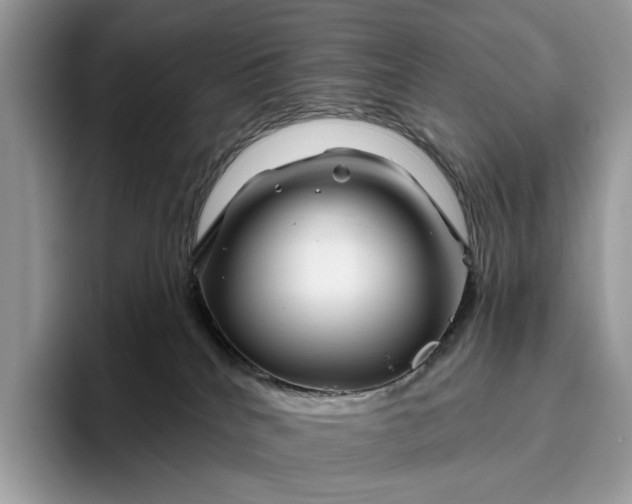 X0000095930040200801251058