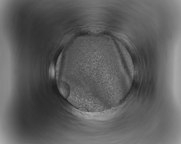 X0000095930046200801251058