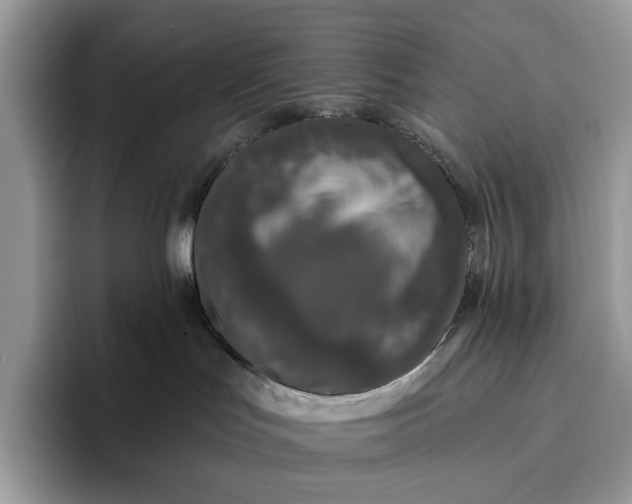 X0000095930047200801251058