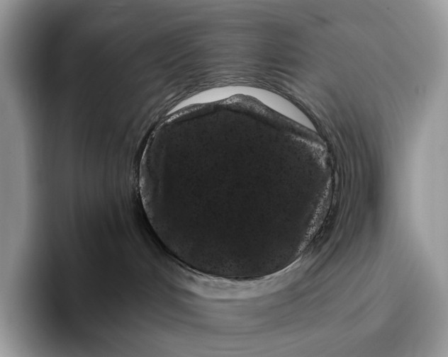 X0000095930048200801251058