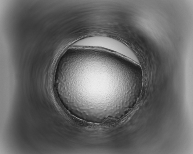 X0000095930049200801251058